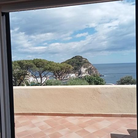 Bed and Breakfast Parco Termale Tropical Ischia Island Zewnętrze zdjęcie