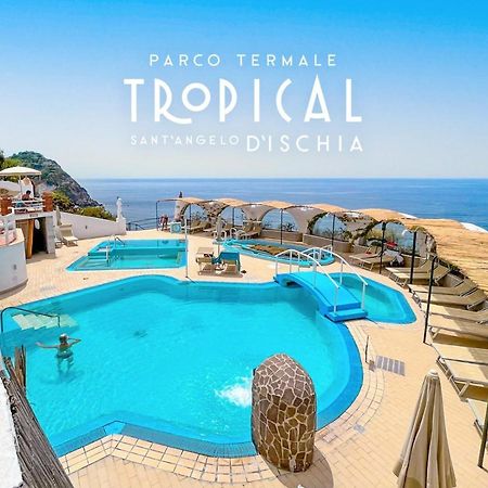 Bed and Breakfast Parco Termale Tropical Ischia Island Zewnętrze zdjęcie