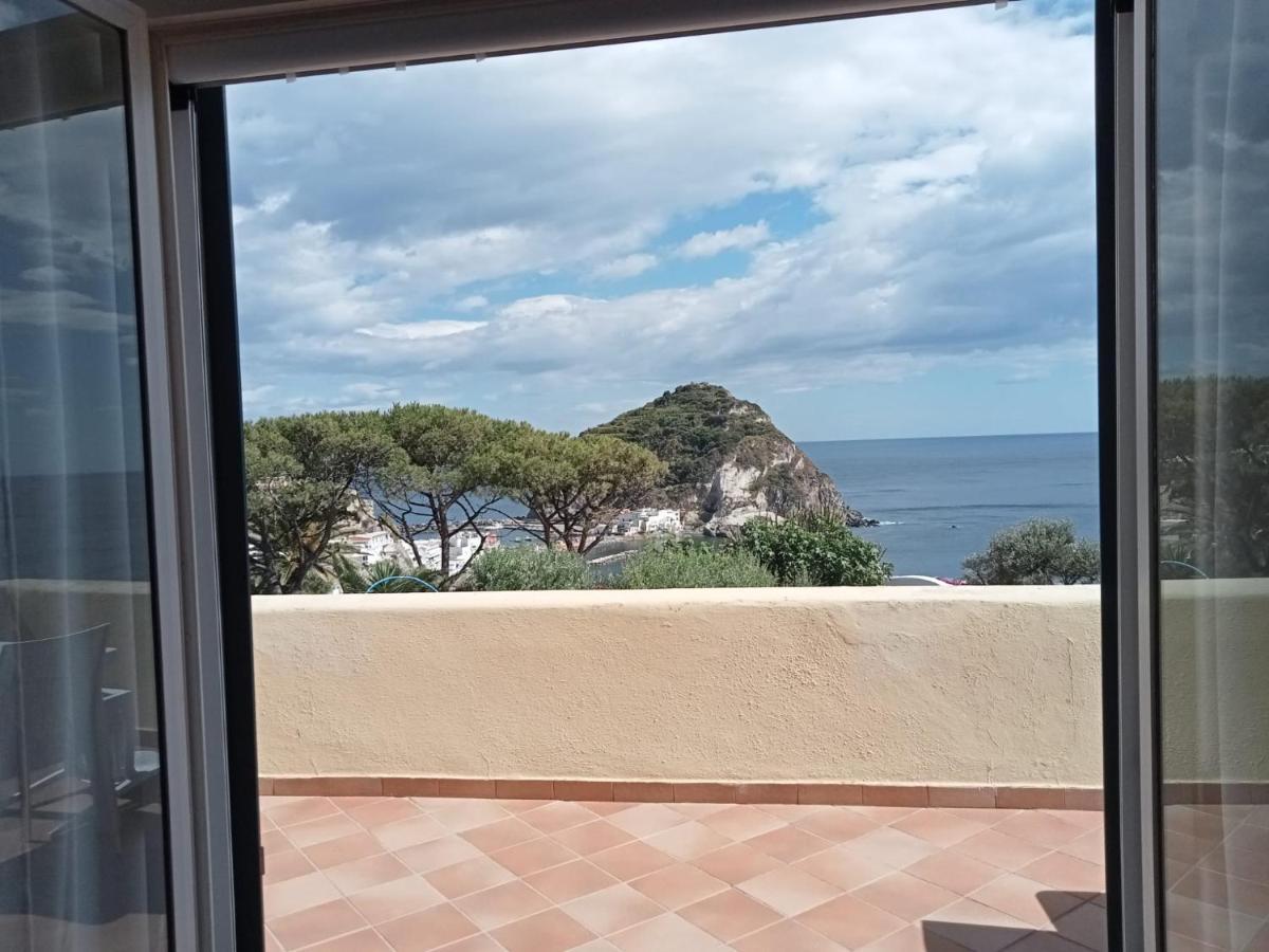 Bed and Breakfast Parco Termale Tropical Ischia Island Zewnętrze zdjęcie