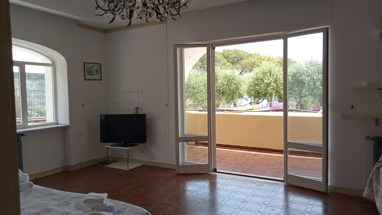 Bed and Breakfast Parco Termale Tropical Ischia Island Zewnętrze zdjęcie