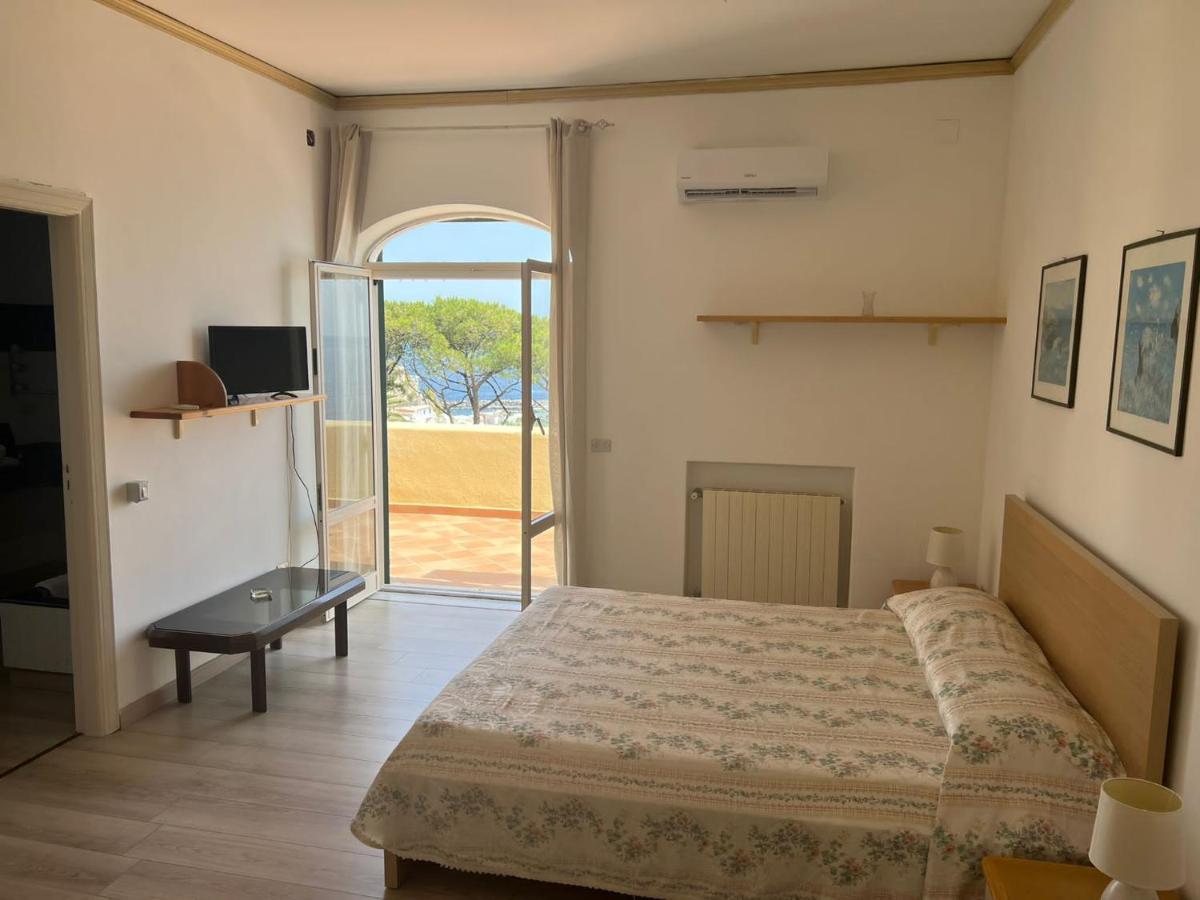 Bed and Breakfast Parco Termale Tropical Ischia Island Zewnętrze zdjęcie