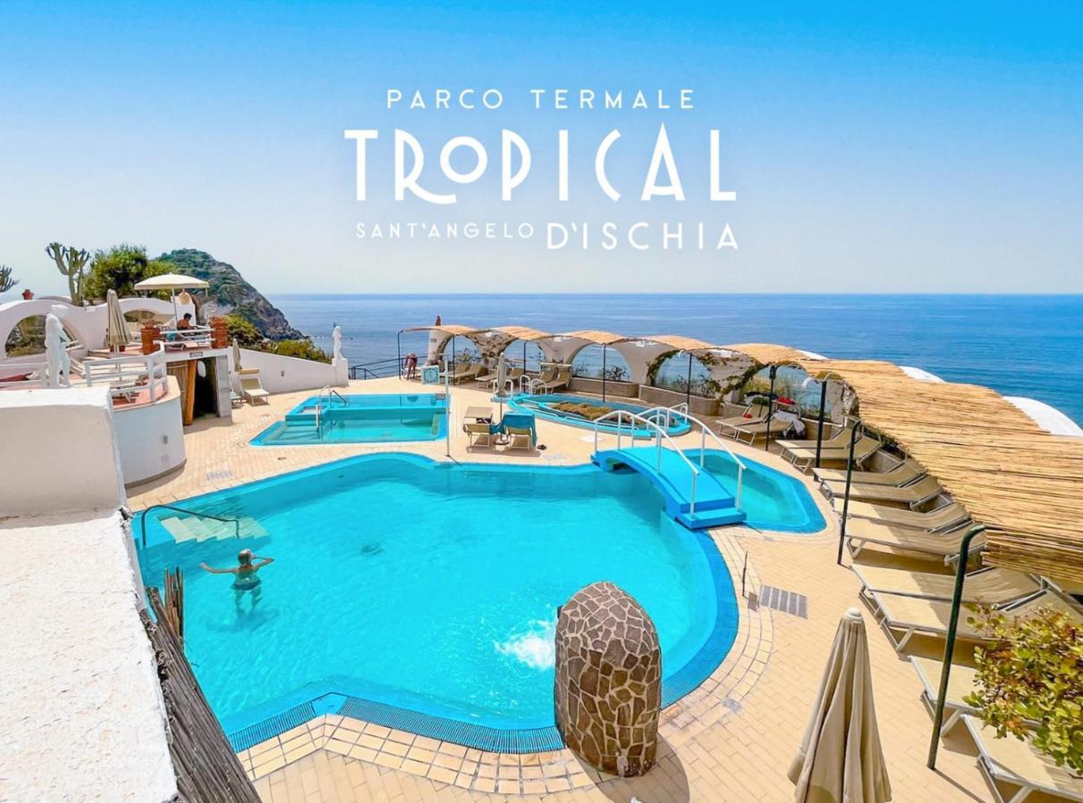 Bed and Breakfast Parco Termale Tropical Ischia Island Zewnętrze zdjęcie